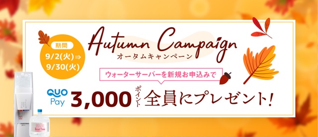 【リセットタイム】QUOカードpayを3,000円分プレゼント！