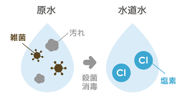 水道水の安全性とは